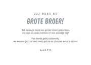 Felicitatiekaart broertje broer uiltjes geboorte baby jongen 3