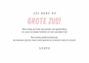 Felicitatiekaart broertje uiltjes geboorte baby meisje zus 3