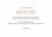 Felicitatiekaart broertje uiltjes geboorte baby meisje zus 3