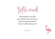 Felicitatiekaart geboorte illustratie flamingo 3