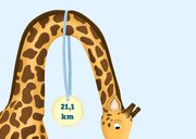 Felicitatiekaart halve marathon rennende dieren 2