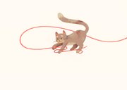 Felicitatiekaart nieuwe kat of poes speelt met wol 2