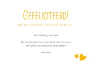 Felicitatiekaart olifant geboorte tweeling jongen en meisje  3