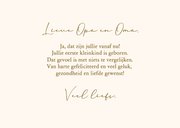 Felicitatiekaart oma en opa geworden - schildpadden 3