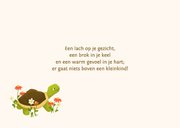 Felicitatiekaart oma of opa geworden - schildpadden 2