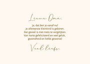 Felicitatiekaart oma of opa geworden - schildpadden 3