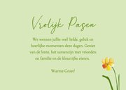 Fijne Pasen Narcissen 3