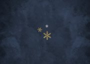 Foto kerstkaart grappig oh deer rendier lampjes sneeuw Achterkant