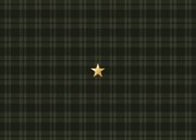 Fotocollage kerstkaart ruitjes groen merry christmas Achterkant