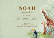 Geboorte dieren in jungle 3