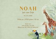 Geboorte dieren in jungle 3