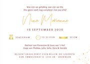 Geboortekaartje 6e kindje broertjes en zusjes bij de wieg 3