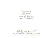 Geboortekaartje baby kijkend naar een blauwe vlinder 2