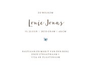 Geboortekaartje baby kijkend naar een blauwe vlinder 3