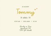 Geboortekaartje beren in een bloemenveld 3