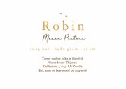 Geboortekaartje broertje zusje eendjes familie gezin 3