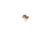 Geboortekaartje derde broertje of zusje met vogeltjes Achterkant