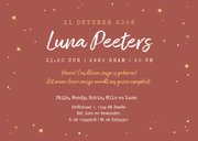 Geboortekaartje derde kindje uilen familie dieren maan ster 3