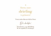 Geboortekaartje dieren eendjes drieling hartjes 3