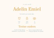 Geboortekaartje foto luchtballon dieren vintage sterren 3