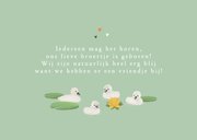 Geboortekaartje groot gezin zwanen lief lente broertje zusje 2