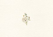 Geboortekaartje jongen groot gezin met beren Achterkant