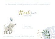 Geboortekaartje jongen met olifantje en ballon 3