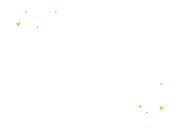 Geboortekaartje leeuw hartjes goud foto waterverf Achterkant