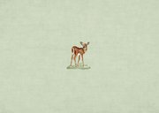 Geboortekaartje leuke bosdieren  Achterkant