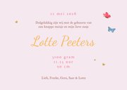 Geboortekaartje lief uiltjes zusje familie boom vlinders 3