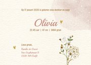 Geboortekaartje meisje groot gezin met beren familie 3