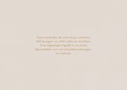 Geboortekaartje tweeling jongens eendjes illustratie 2