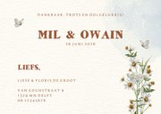 Geboortekaartje tweeling met beertjes en vlinders in bloemen 3