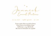 Geboortekaartje uniek eenden familie derde kindje hartjes 3