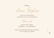 Geboortekaartje unisex draakje wolkje hartjes koper 3