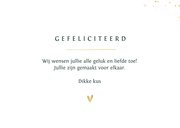 Geregistreerd partnerschap felicitatiekaart stijlvol 3