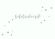 Geslaagd rijbewijs auto mini  3