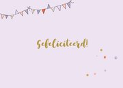 Geslaagd rijbewijs vrouw mini auto 3