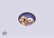 Grappige kaart met kussende hondjes 2