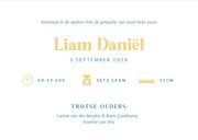 Hip minimalistisch geboortekaartje voor een jongen met naam 3