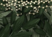 Kerst-verhuiskaart jungle bladeren met gouden accenten Achterkant