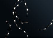 Kerstkaart 2026-2027 met 2 foto's en takjes 2