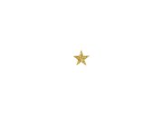 Kerstkaart 2026 goud glitter letters groot Achterkant