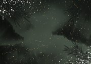 Kerstkaart 2026 kerstbal met foto Achterkant