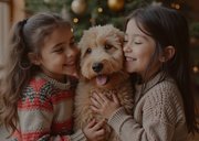 Kerstkaart 2026 transparante foto met goudfolie 2