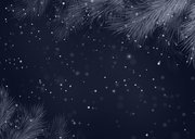 Kerstkaart 2027 blauwe dennentakken Achterkant