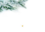 Kerstkaart 'Bedankt' dennentakjes en quotes Achterkant
