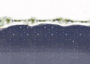 Kerstkaart boom op het dak van de auto Achterkant