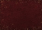 Kerstkaart bordeaux rood met papieren kerstboom en foto Achterkant