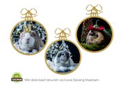 Kerstkaart cavia met kroontje 2